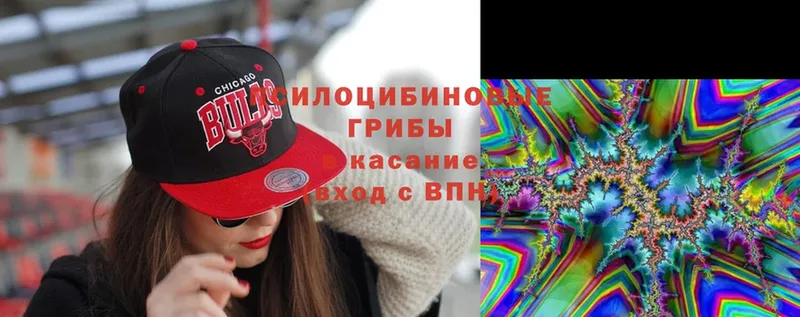 OMG ССЫЛКА  Бавлы  Галлюциногенные грибы Magic Shrooms 